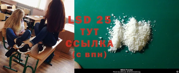 ПСИЛОЦИБИНОВЫЕ ГРИБЫ Инта