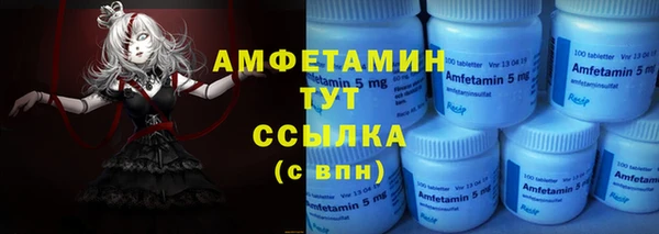 ПСИЛОЦИБИНОВЫЕ ГРИБЫ Инта