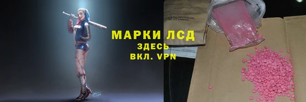 ПСИЛОЦИБИНОВЫЕ ГРИБЫ Инта