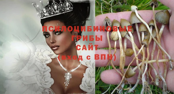 ПСИЛОЦИБИНОВЫЕ ГРИБЫ Инта