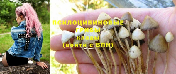 ПСИЛОЦИБИНОВЫЕ ГРИБЫ Инта