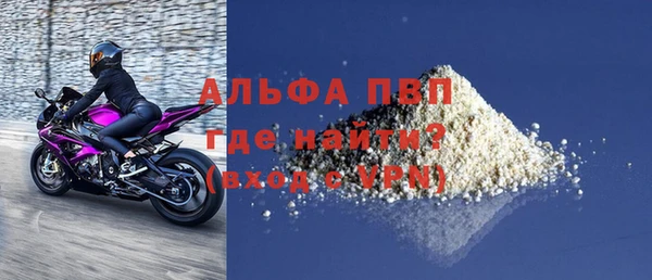 ПСИЛОЦИБИНОВЫЕ ГРИБЫ Инта