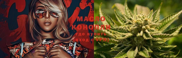 ПСИЛОЦИБИНОВЫЕ ГРИБЫ Инта