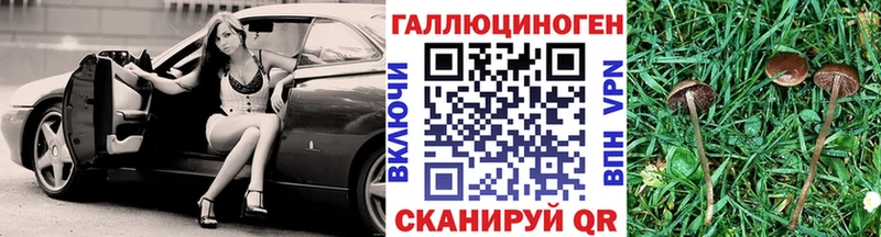 Псилоцибиновые грибы Psilocybe  Долгопрудный 